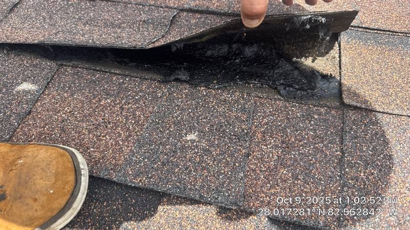 roofing project near Abonado Rd in Tampa