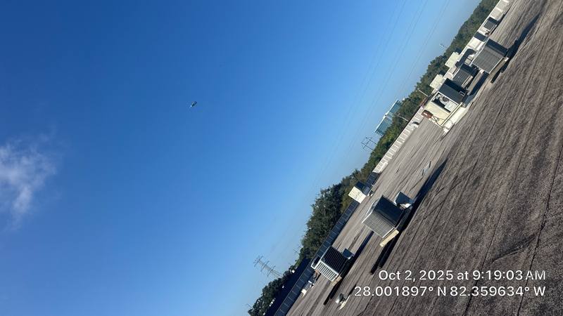 roof replacement in Tampa, Florida