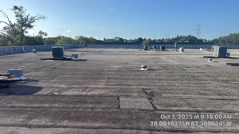 residential roof replacement by Hloska Roofing in Tampa