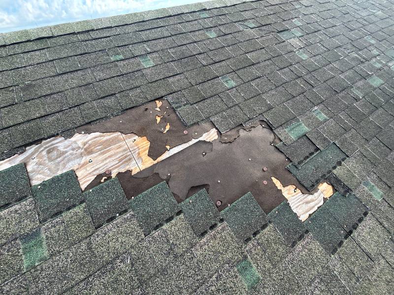 roofing project near Tampa Oaks Blvd in Temple Terrace