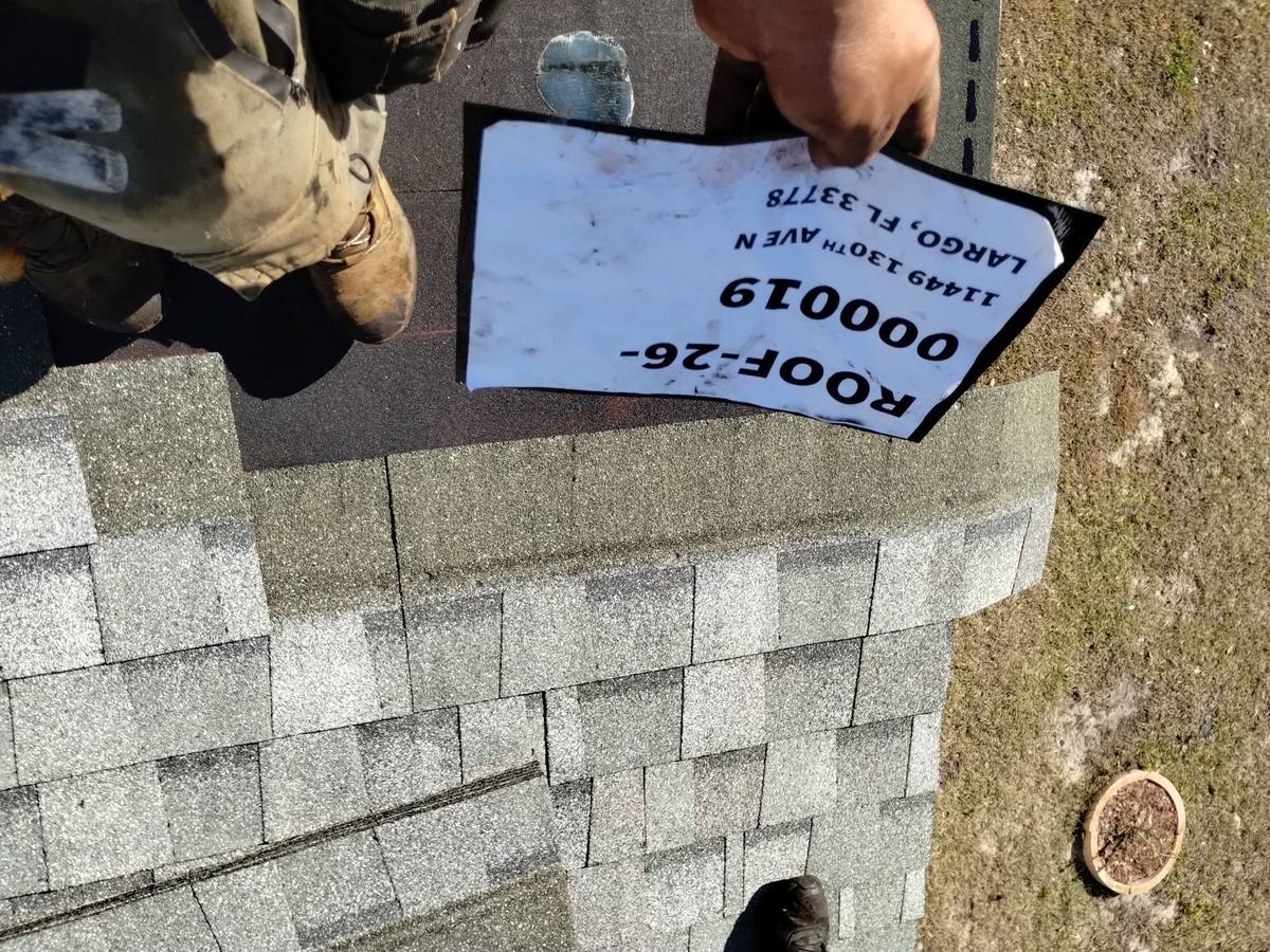 shingle roof replacement in Largo, Florida