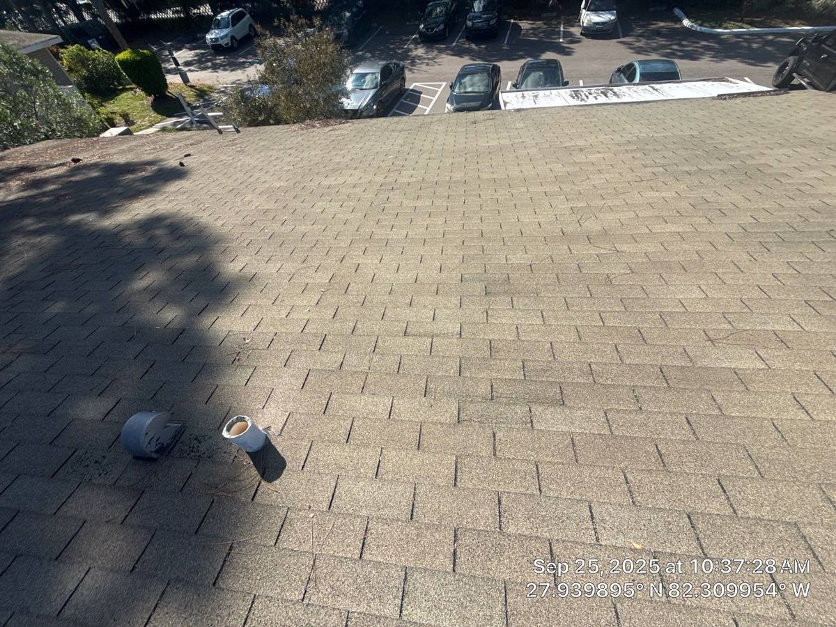roof replacement in Brandon, Florida