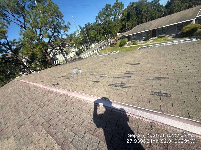 roof replacement in Brandon, Florida