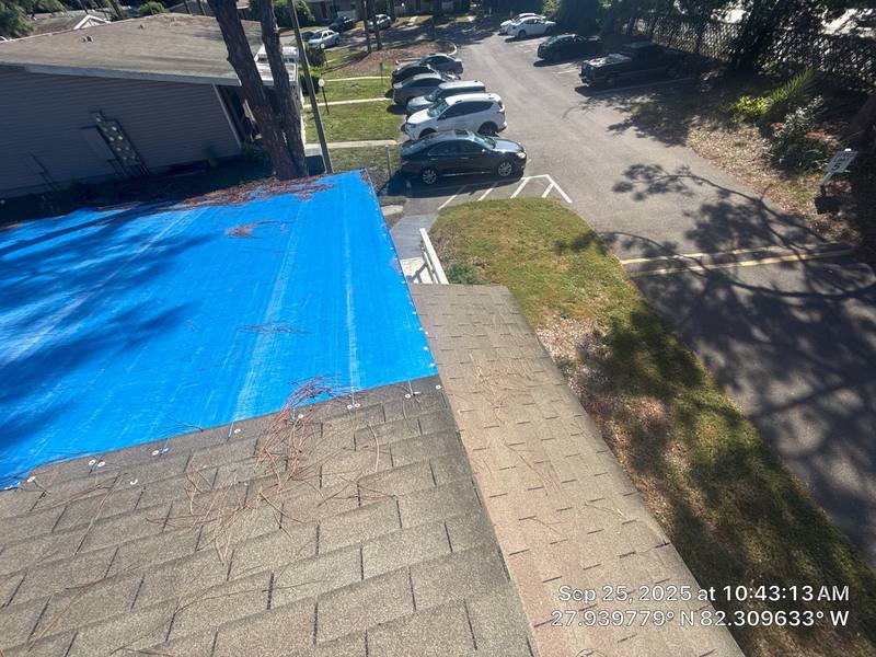 roof replacement in Brandon, Florida