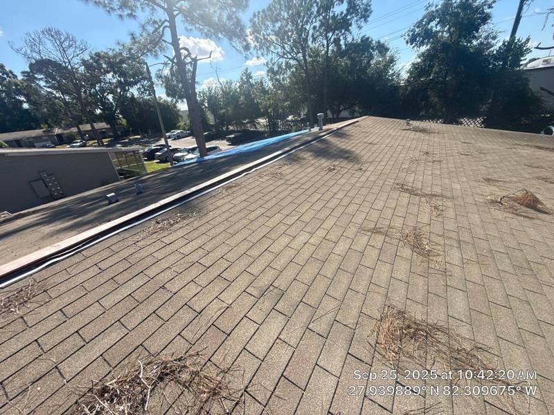 roofing project near Lake Meadow Cir S in Brandon