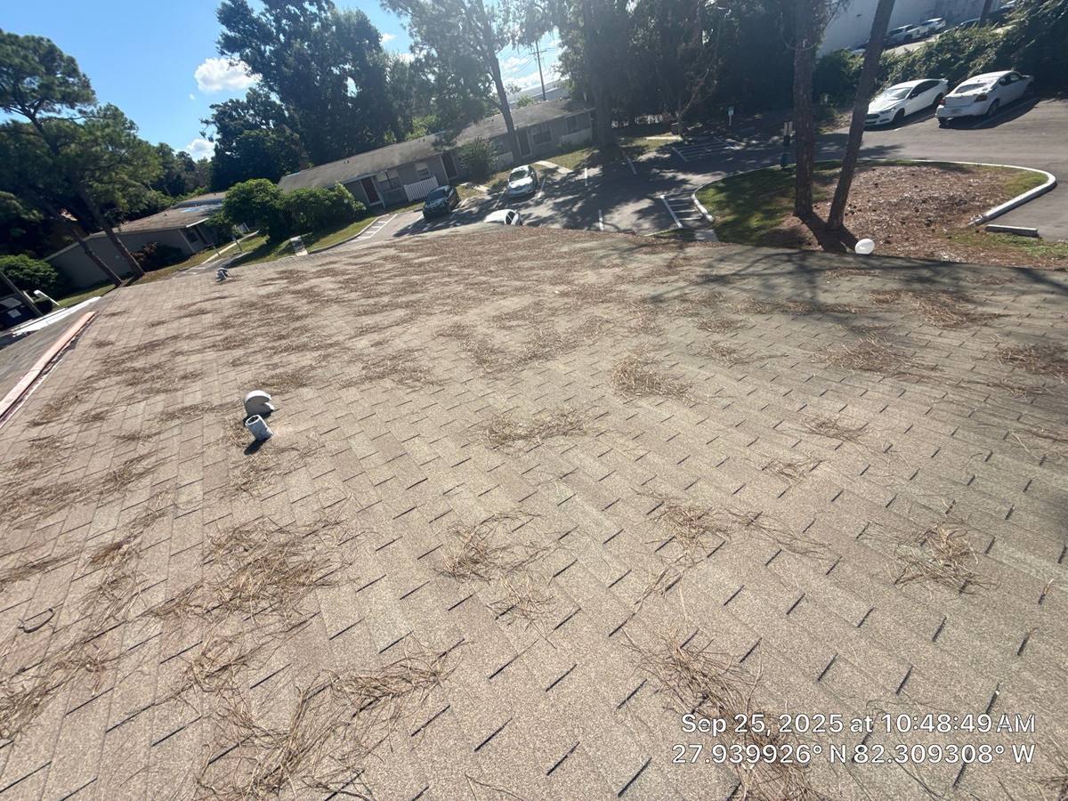 roof replacement in Brandon, Florida