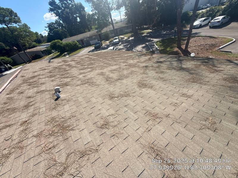 residential roof replacement by Hloska Roofing in Brandon