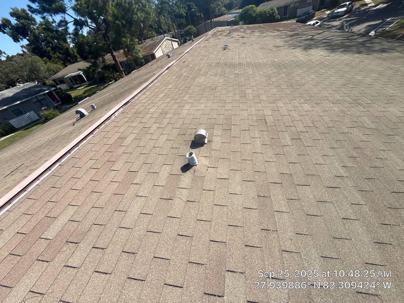 roof replacement in Brandon, Florida