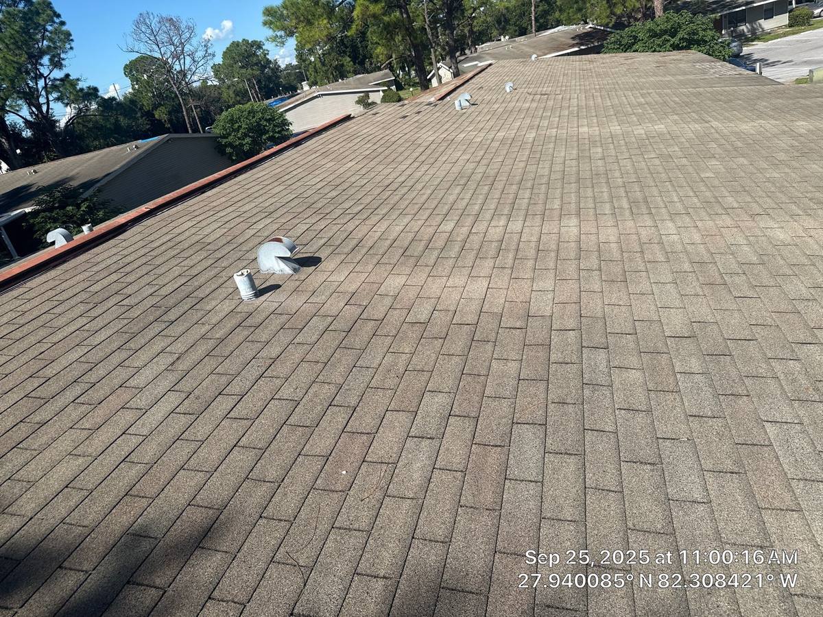 roof replacement in Brandon, Florida