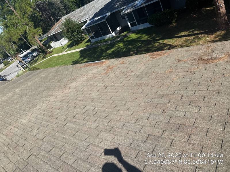 roof replacement in Brandon, Florida