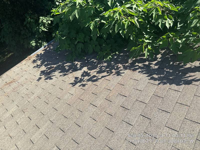 residential roof replacement by Hloska Roofing in Brandon