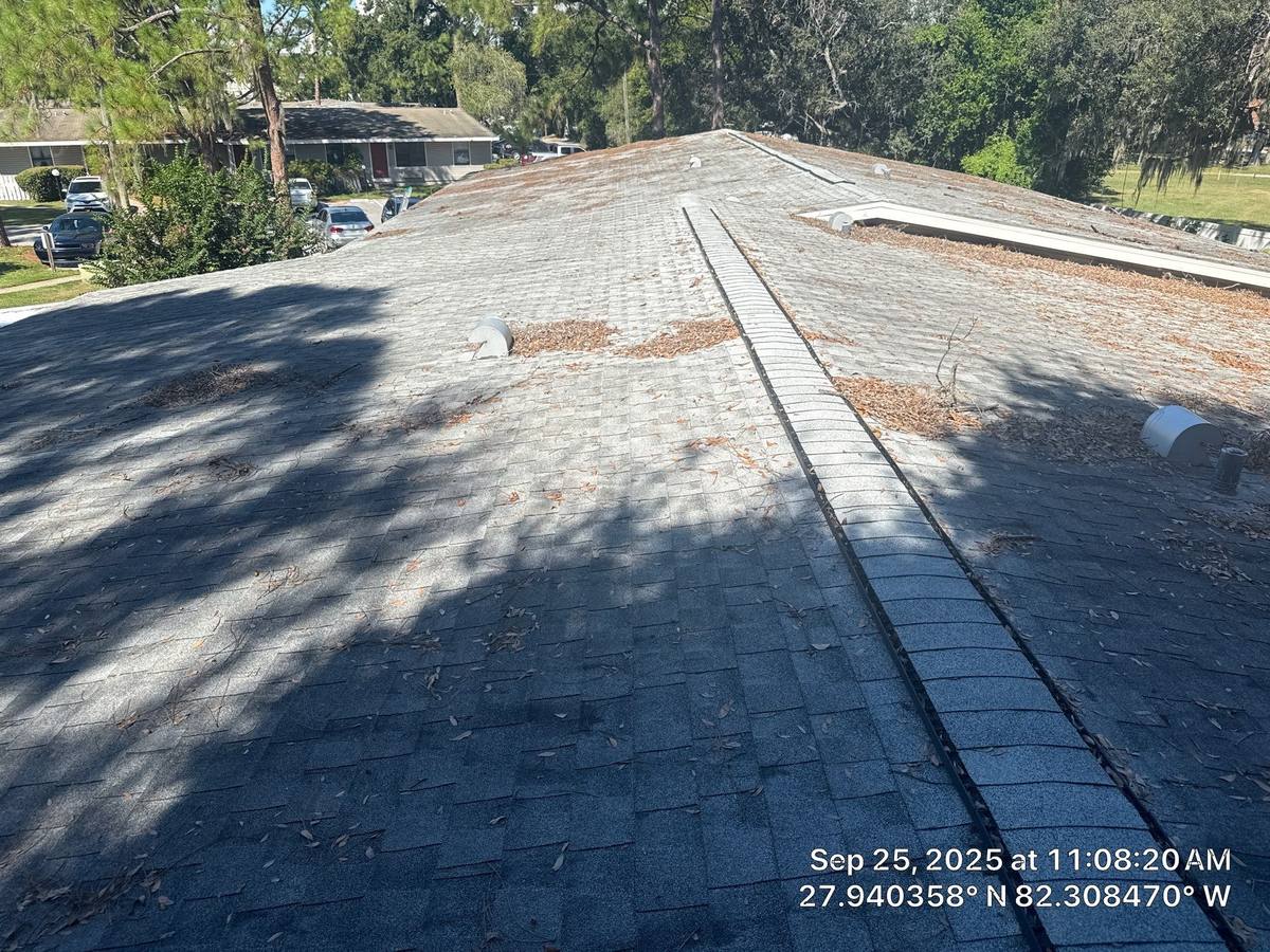 roof replacement in Brandon, Florida