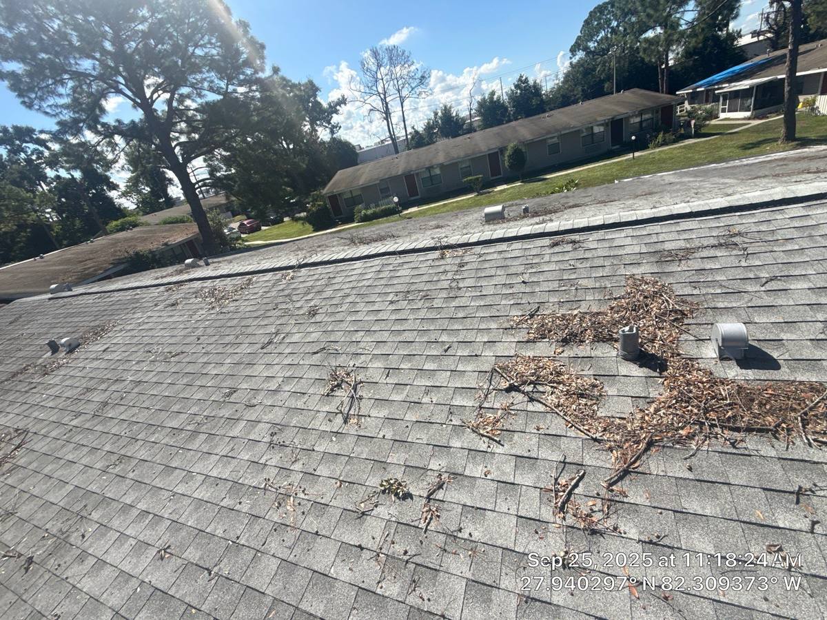 roof replacement in Brandon, Florida