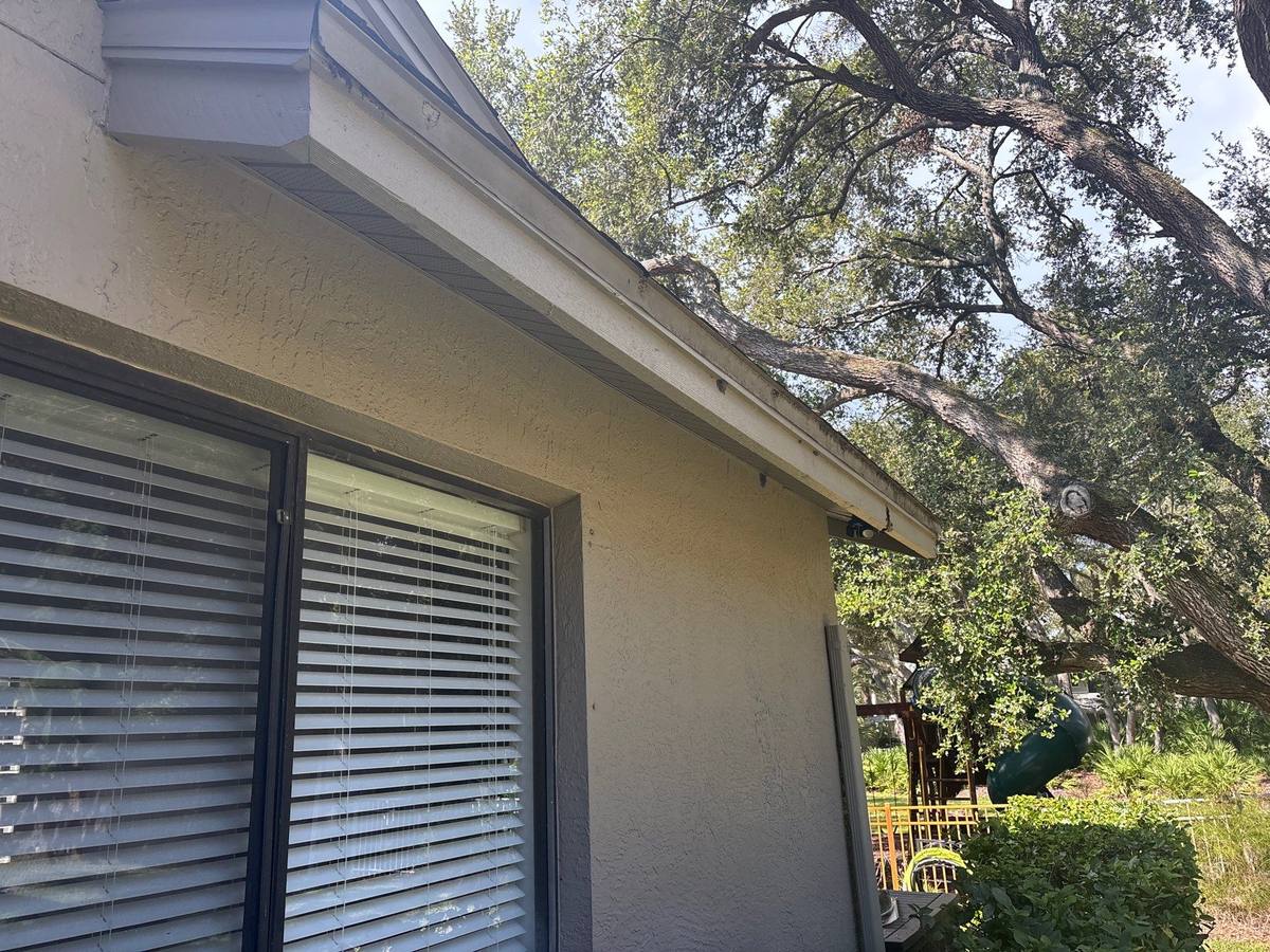roof repair in Safety Harbor, Florida