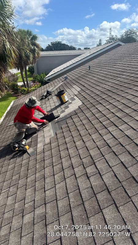 roofing project near Meadow Wood Dr in Clearwater