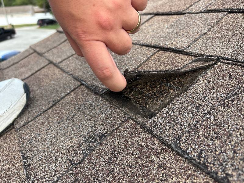 roofing project near Carbine Ct in New Port Richey