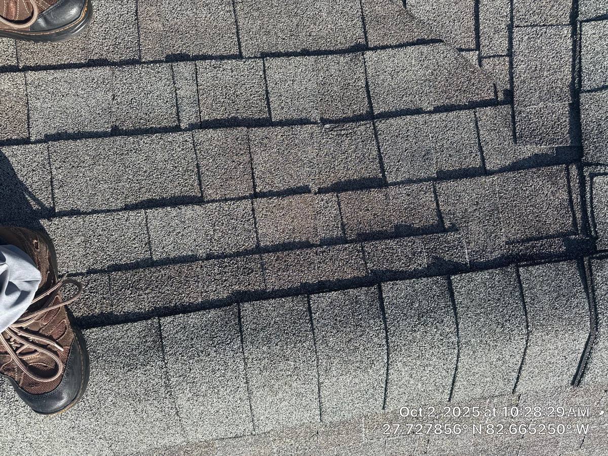 roof replacement in St. Petersburg, Florida