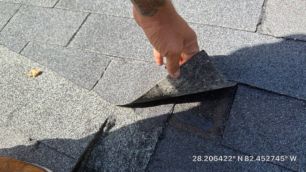 roof replacement in Land O' Lakes, Florida