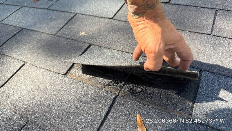 roof replacement in Land O' Lakes, Florida