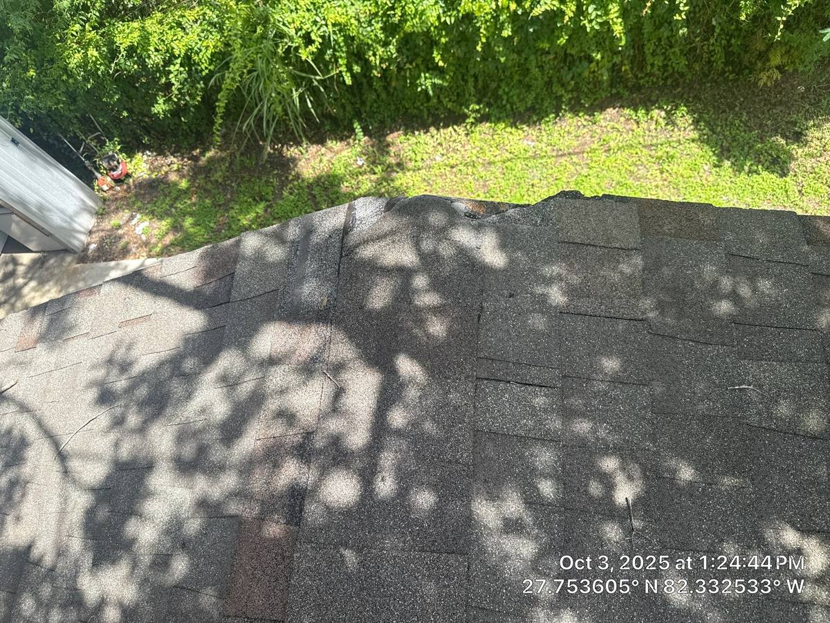 roof replacement in Wimauma, Florida