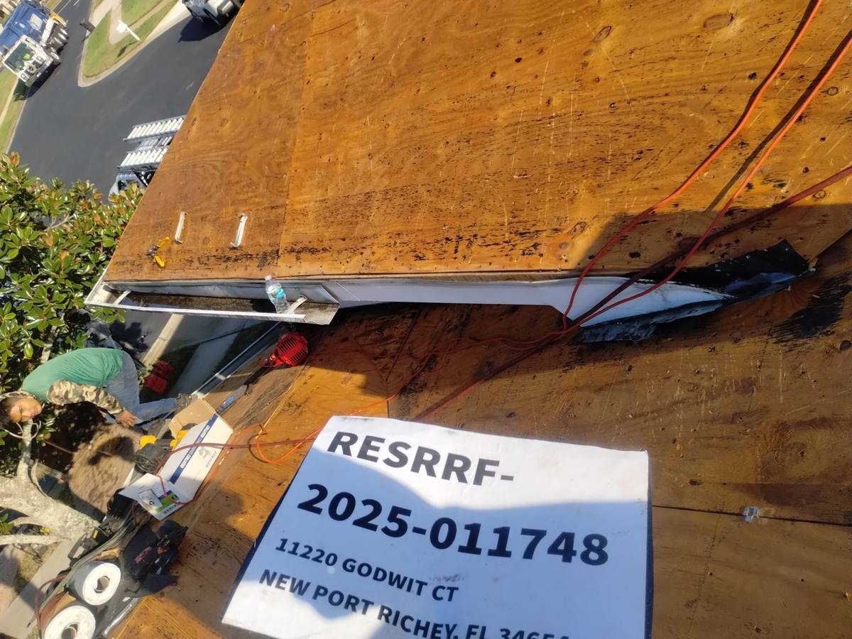 metal roof replacement in New Port Richey, Florida