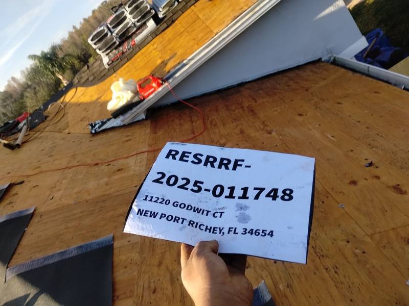 metal roof replacement in New Port Richey, Florida