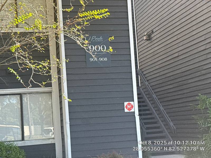roof replacement in Tampa, Florida