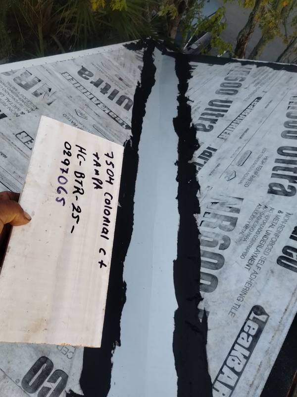 residential roof replacement by Hloska Roofing in Tampa
