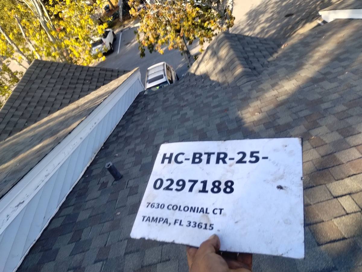 roof replacement in Tampa, Florida