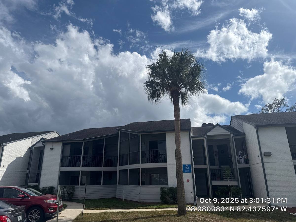 roof replacement in Lutz, Florida