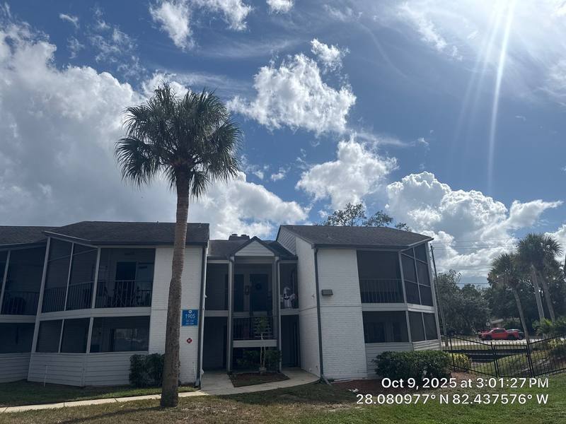 roofing project near Turtle Creek Cir in Lutz