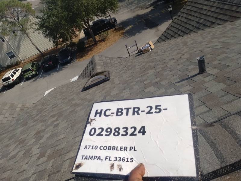 roof replacement in Tampa, Florida