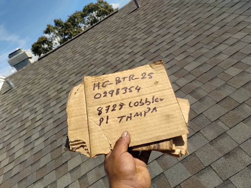 roof replacement in Tampa, Florida