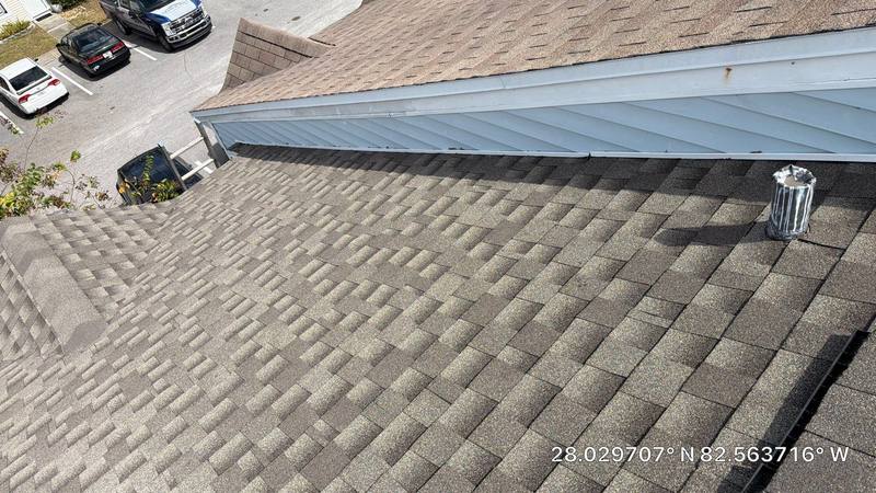 roof replacement in Tampa, Florida