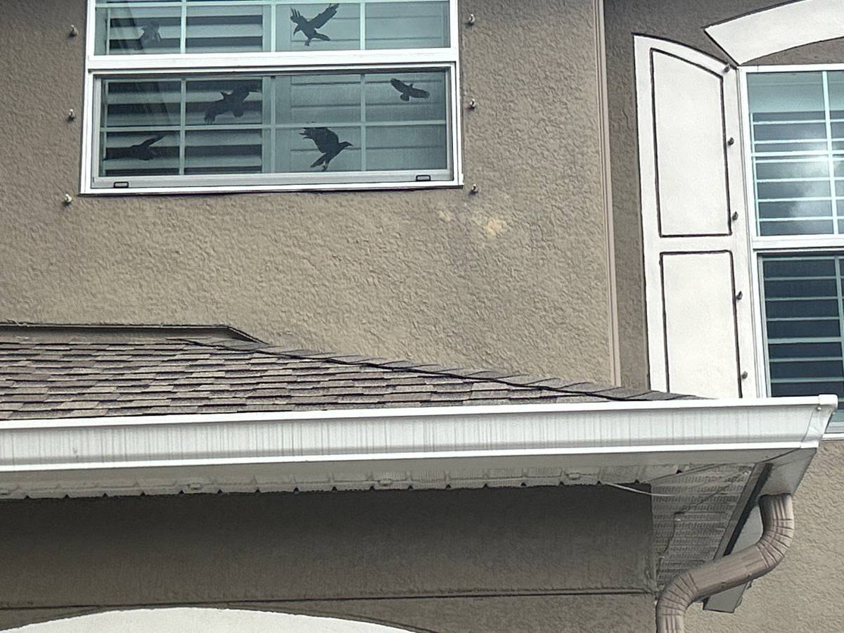 roof replacement in Hudson, Florida