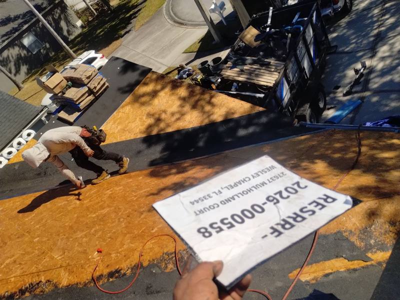 shingle roof replacement in Wesley Chapel, Florida