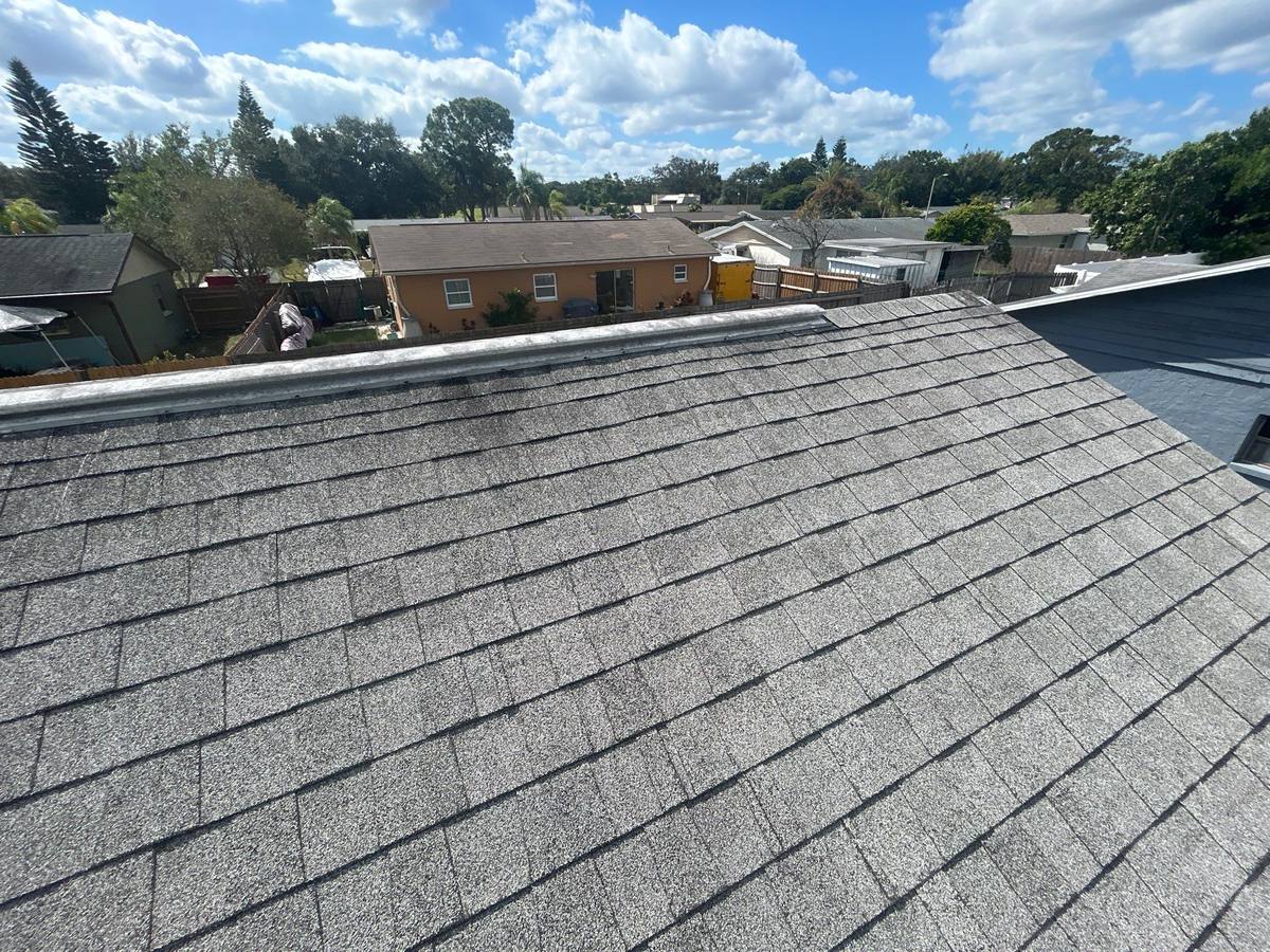 roof replacement in New Port Richey, Florida