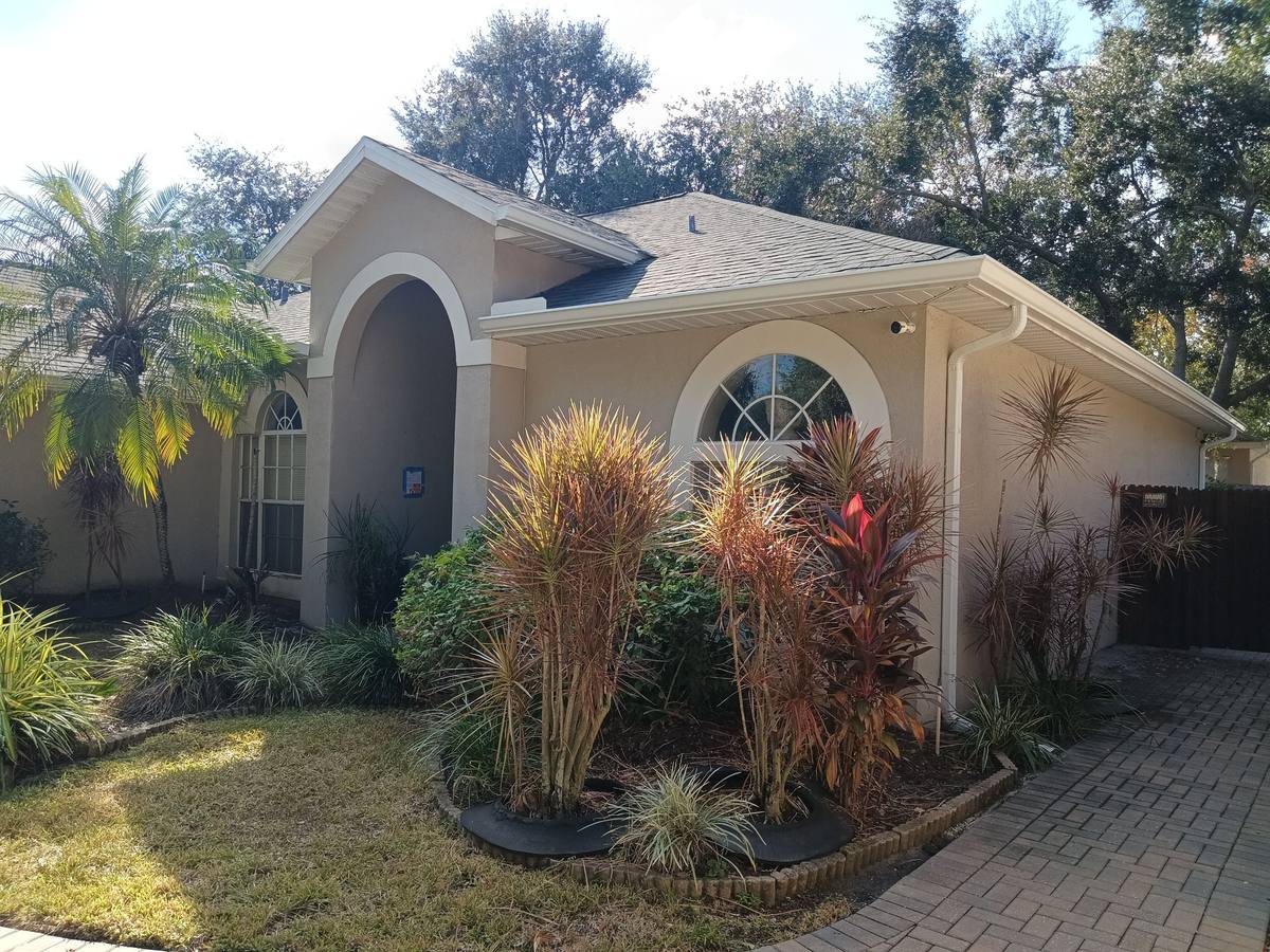 roof replacement in Tampa, Florida
