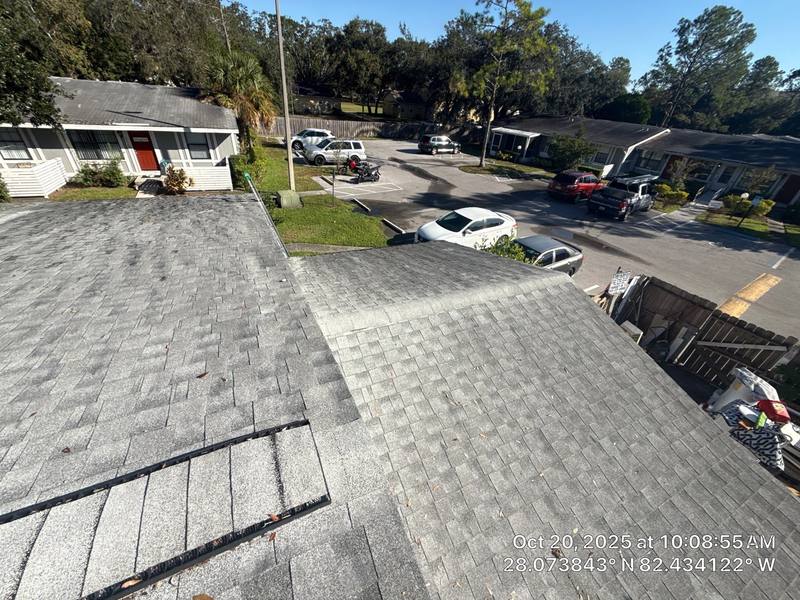 roofing project near Spring Glade Cir in Tampa