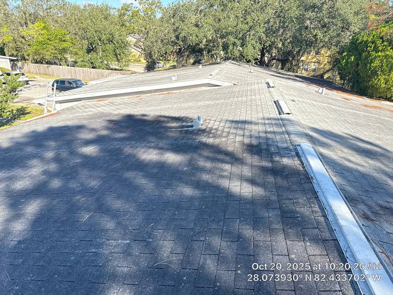 residential roof replacement by Hloska Roofing in Tampa