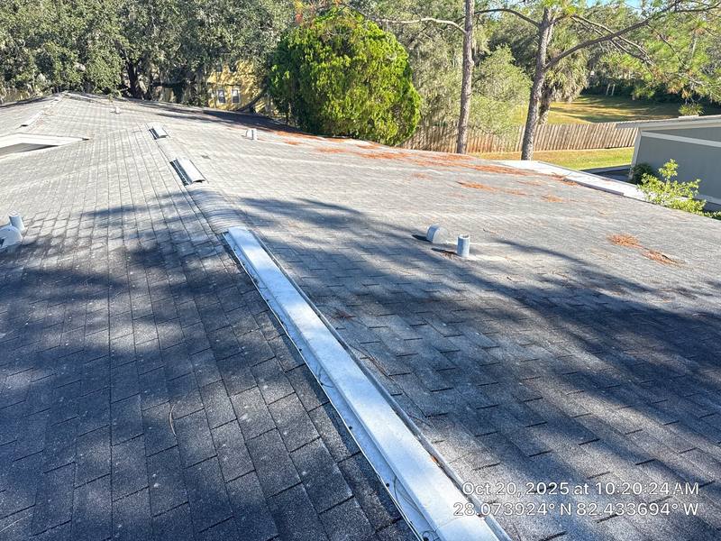 roof replacement in Tampa, Florida
