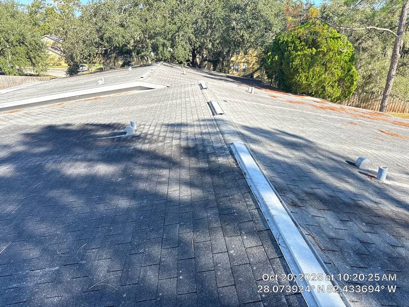 roofing project near Spring Glade Cir in Tampa