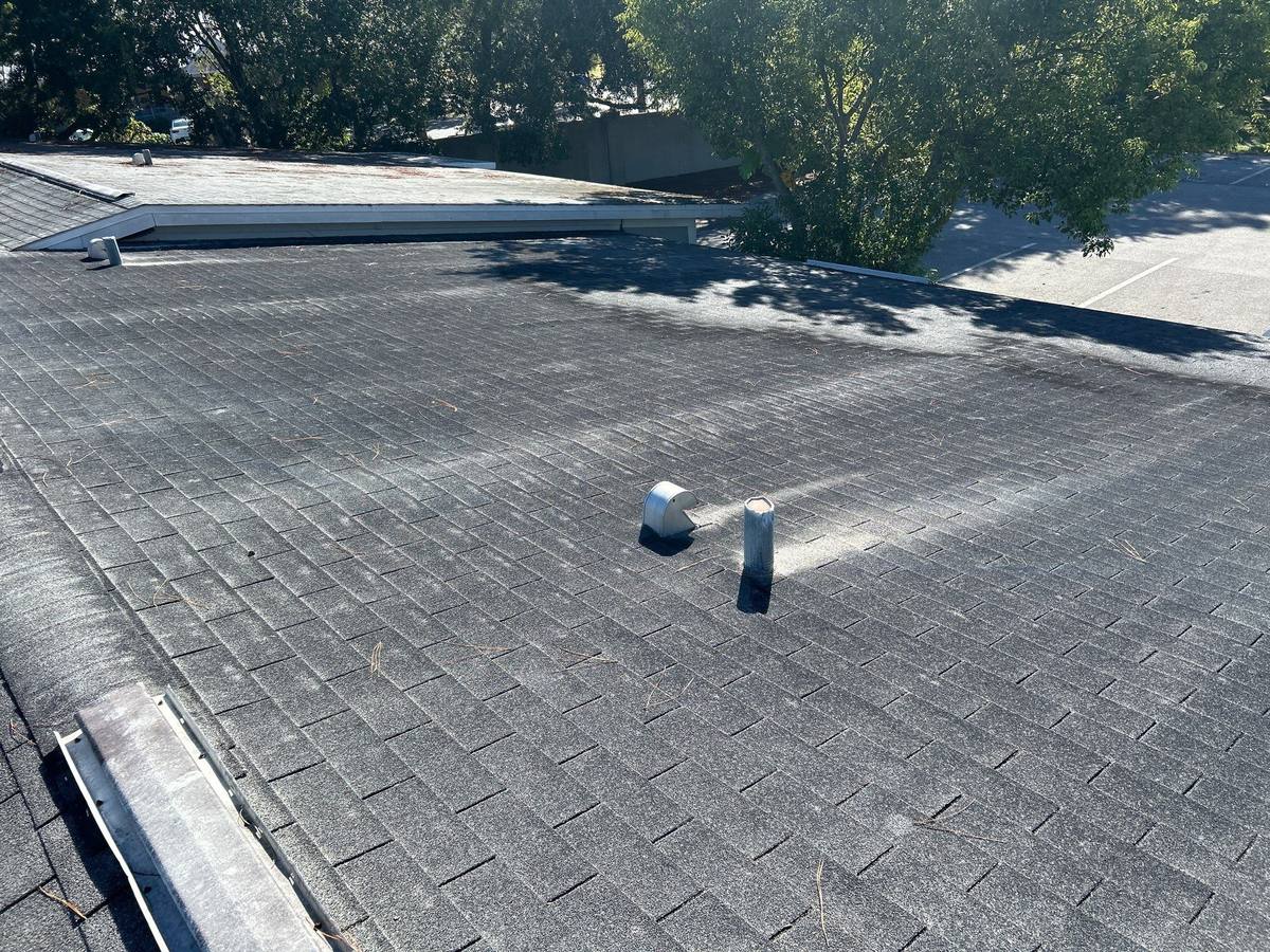 roof replacement in Tampa, Florida