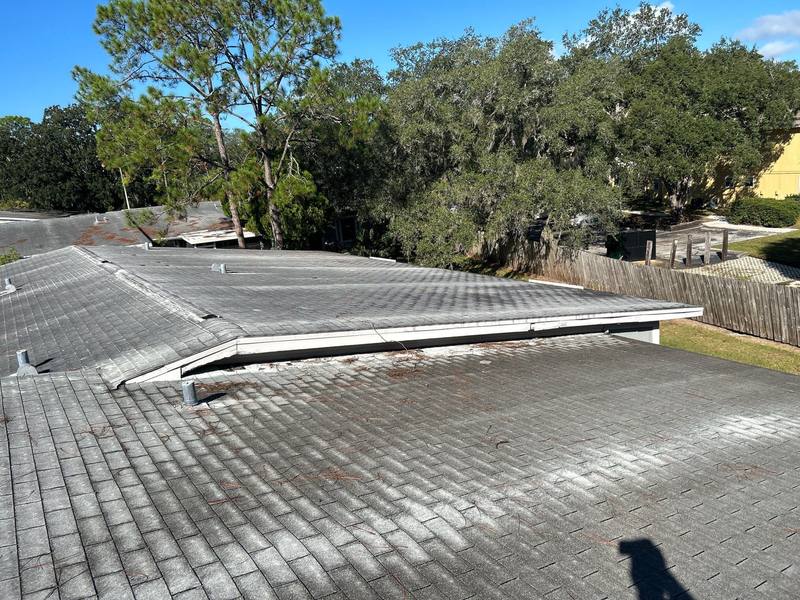 roofing project near Spring Glade Cir in Tampa