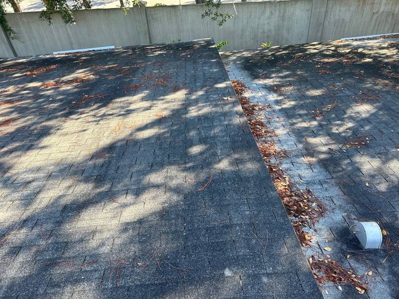 roofing project near Spring Glade Cir in Tampa