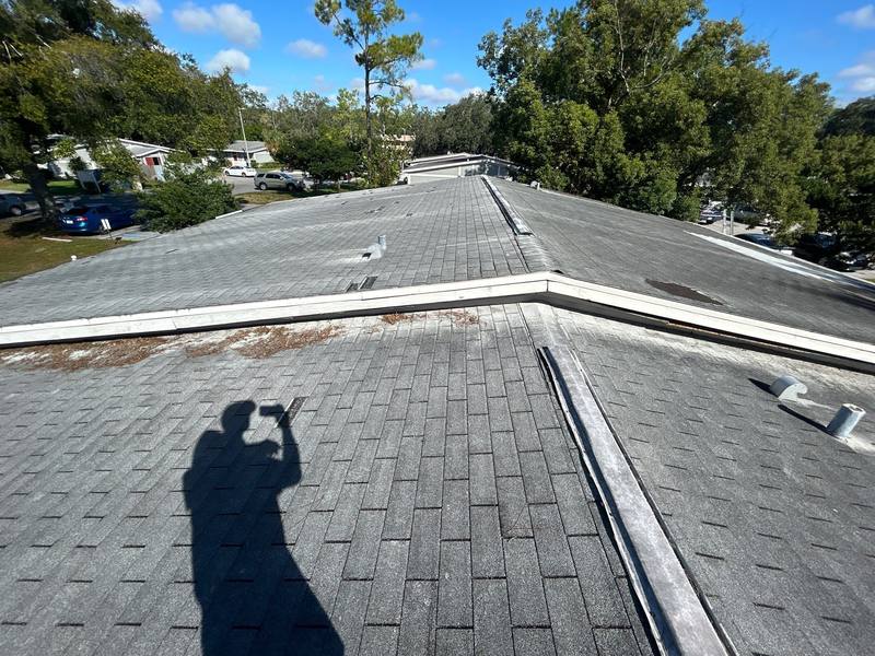 roofing project near Spring Glade Cir in Tampa
