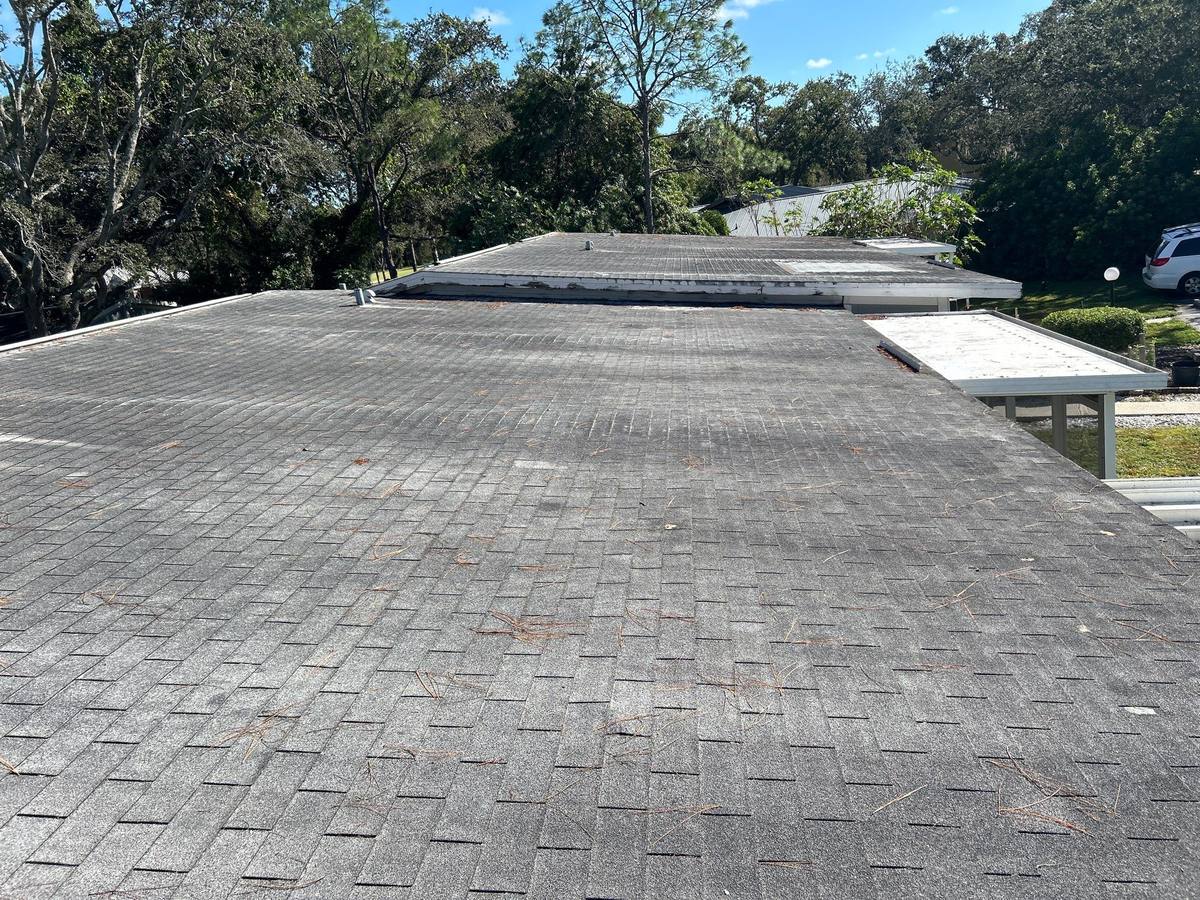 roof replacement in Tampa, Florida