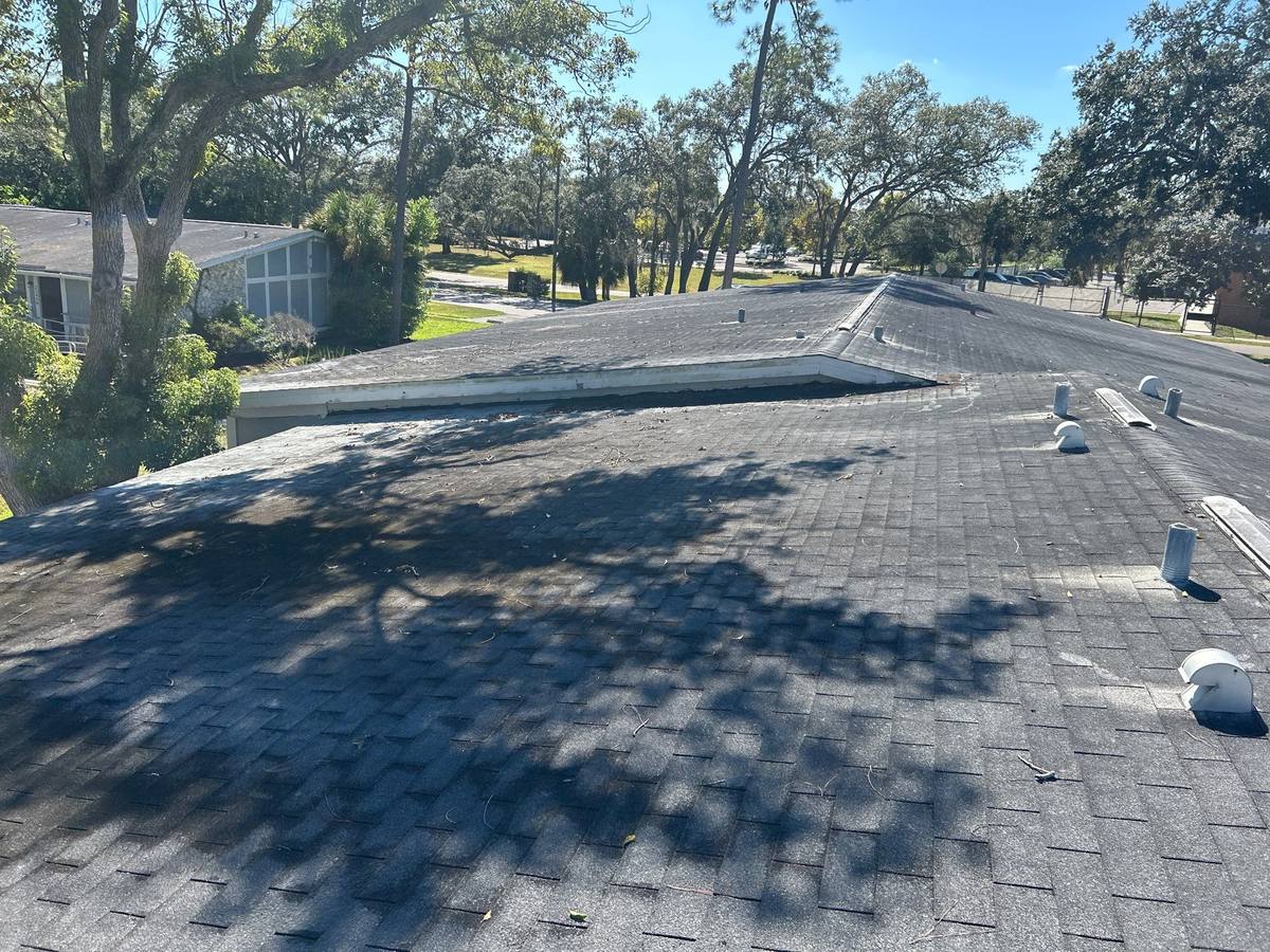 roof replacement in Tampa, Florida