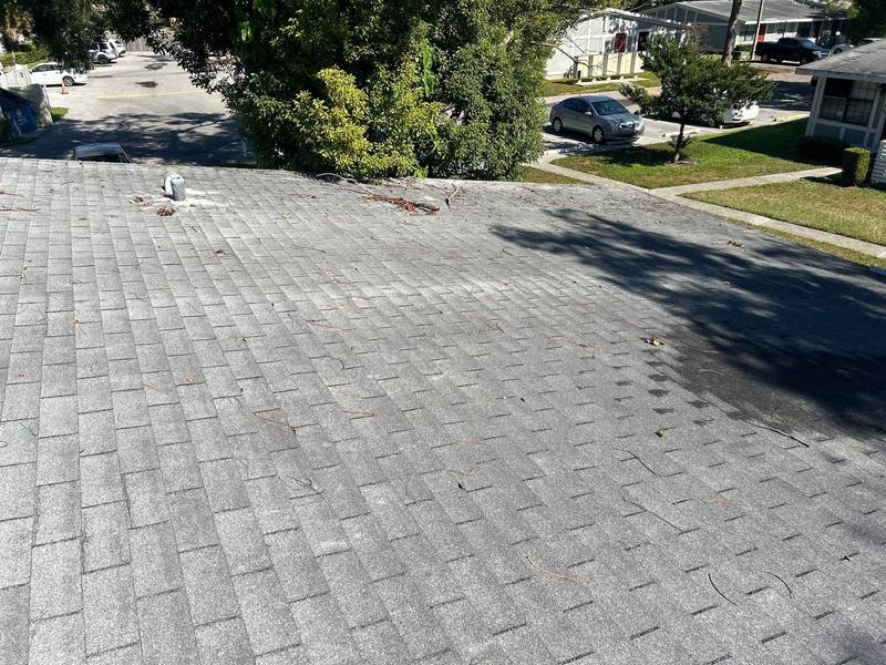 roofing project near Spring Glade Cir in Tampa