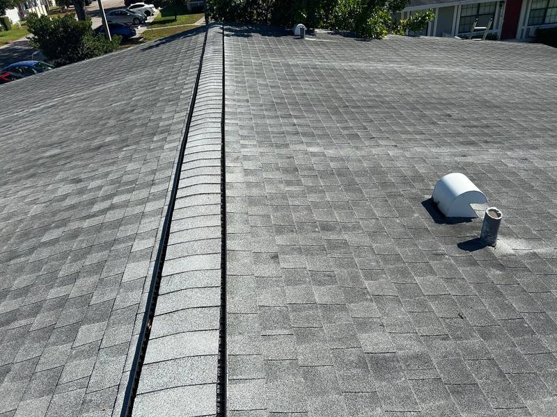 residential roof replacement by Hloska Roofing in Tampa